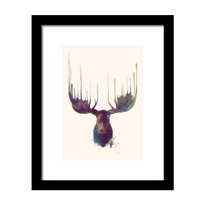 Little Moose Framed Print by Amy Hamilton