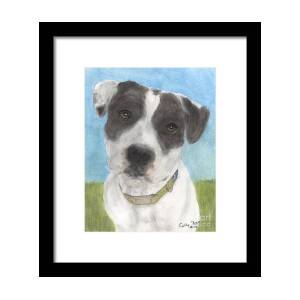 https://render.fineartamerica.com/images/rendered/square-product/small/images/rendered/default/framed-print/images-medium-5/pitbull-dog-portrait-canine-animal-cathy-peek-cathy-peek.jpg?imgWI=8&imgHI=10&sku=CRQ13&mat1=PM918&mat2=&t=2&b=2&l=2&r=2&off=0.5&frameW=0.875