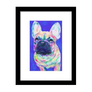 My Psychedelic Bulldog Framed Print by Jane Schnetlage