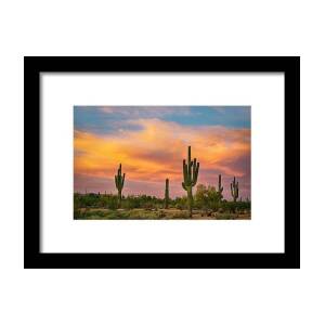 Giant Saguaro Cactus Lightning Strike BW Framed Print by James BO Insogna