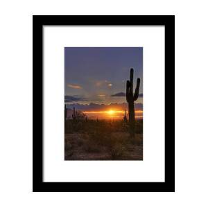 A Sonoran Desert Sunrise Framed Print by Saija Lehtonen