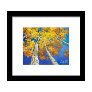 Autumn beauty of Sangre de Cristo mountain Framed Print by Gary Kim