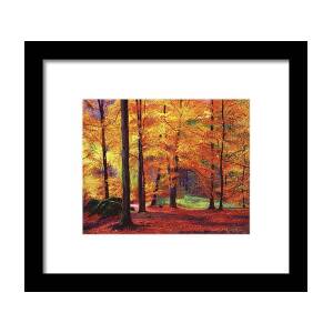 Autumn in Vermont Framed Print by David Lloyd Glover