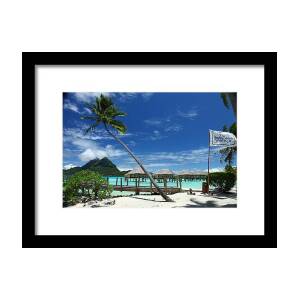 Bora Bora Beach Hammock Framed Print by Owen Ashurst