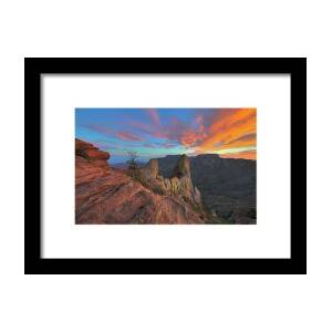Sunrise over Big Bend Bluebonnets Framed Print by Rob Greebon