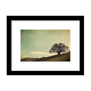 Higher Love Framed Print by Laurie Search