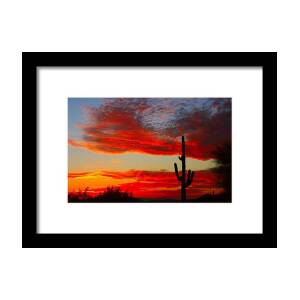 Saguaro Full Moon Sunset Framed Print by James BO Insogna