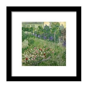 Green Wheat Fields Auvers Framed Print by Vincent Van Gogh