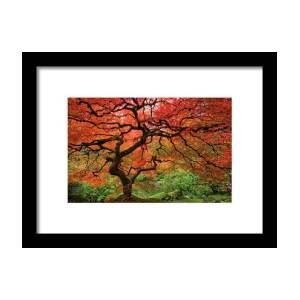 Japenese Garden, Portland Framed Print by Jesse Estes Japenese Garden, Portland Framed Print by Jesse Estes