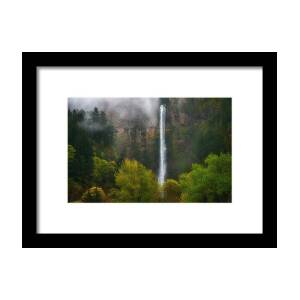 Multnomah Morning Framed Print by Darren White