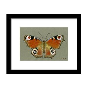Monarch butterfly Framed Print by Juan Bosco - Fine Art America