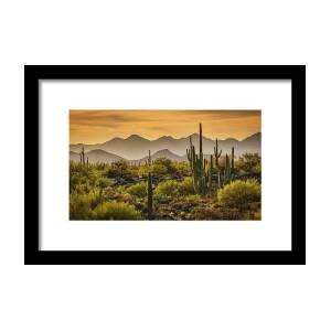 Southwest Desert Sunset Framed Print by Saija Lehtonen