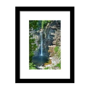 Walk in the Park Framed Print by Christina Rollo
