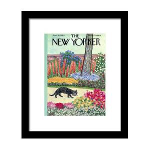 New Yorker Cover - June 18, 1960 Framed Print by William Steig New Yorker Cover - June 18, 1960 Framed Print by William Steig