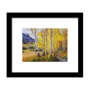Fall Aspen Forest Framed Print by Gary Kim