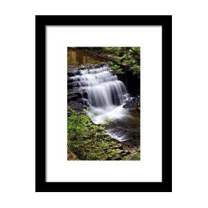 Salt Springs Waterfall Framed Print by Christina Rollo