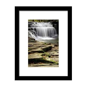 Salt Springs Waterfall Framed Print by Christina Rollo