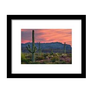 Four Peaks Sunset Framed Print by Dave Dilli