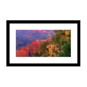 Canyon Glow Framed Print by Mikes Nature