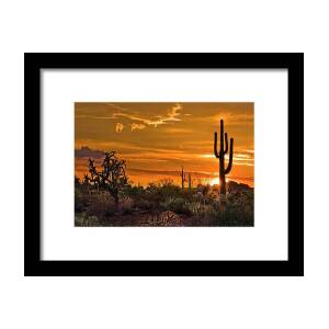 Four Peaks Sunset Framed Print by Dave Dilli