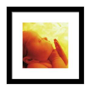 Womb Series #4 Framed Print by Anne Geddes Womb Series #4 Framed Print by Anne Geddes