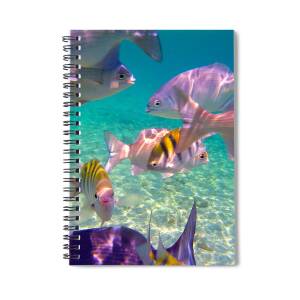 Bimini Beach Spiral Notebook for Sale by Carey Chen