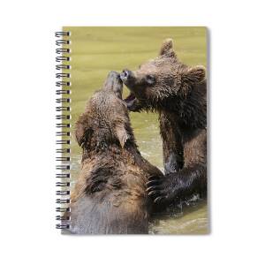 https://render.fineartamerica.com/images/rendered/square-product/small/images/rendered/default/front/spiral-notebook/images/artworkimages/medium/1/brown-bears-playing-david--micha-sheldon.jpg?&targetx=-383&targety=0&imagewidth=1446&imageheight=961&modelwidth=680&modelheight=961&backgroundcolor=C6B977&orientation=0&producttype=spiralnotebook