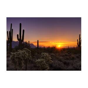A Sonoran Desert Sunrise Greeting Card for Sale by Saija Lehtonen