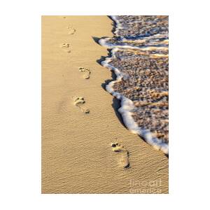 Wooden walkway over dunes at beach Greeting Card for Sale by Elena ...