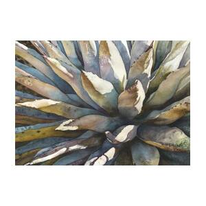Xeriscape Garden Greeting Card for Sale by Anne Gifford