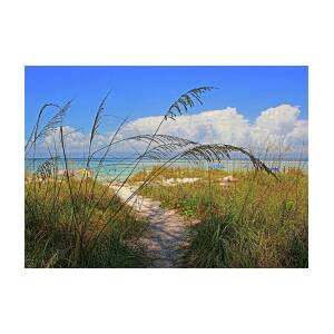 Down To The Beach 2 Florida Beaches Greeting Card For Sale By Hh