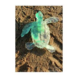 Details about   2020 Sea Turtle Hatchling Million Dollar Novelty Note-in Plastic Sleeve 