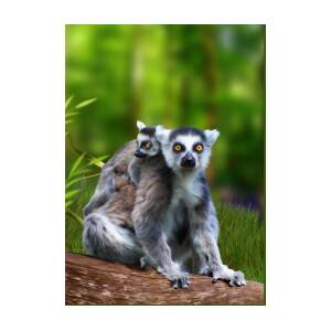 Ring Tailed Lemur Greeting Card for Sale by Julie L Hoddinott