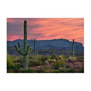 Four Peaks Sunset Greeting Card for Sale by Dave Dilli