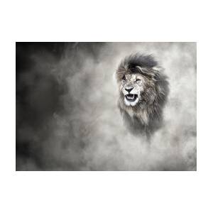 African Lion Face Closeup Web Banner Greeting Card by Good Focused