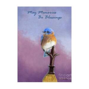 Thinking Of You Greeting Card Thinking Of You Blue Bird Branch Artistic Words 