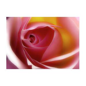 Happy Birthday Red Rose by Johanna Hurmerinta