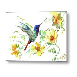Flying Hummingbird Metal Print by Suren Nersisyan
