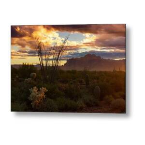 A Sonoran Desert Sunrise Metal Print by Saija Lehtonen