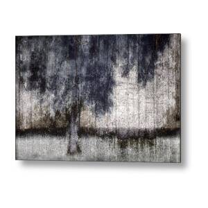 Winter Dawn Tree Silhouette Metal Print by Carol Leigh