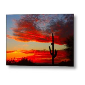 Giant Saguaro Cactus Lightning Strike BW Metal Print by James BO Insogna