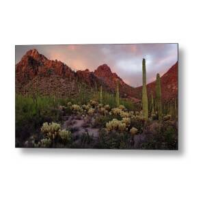 Four Peaks Sunset Metal Print by Dave Dilli
