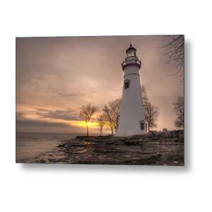 Standing Strong Metal Print by At Lands End Photography