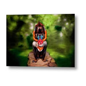 Parrot Bodypainting Illusion Metal Print By Johannes Stoetter