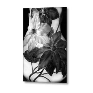 Vintage Calla Lily Metal Print by Jessica Jenney