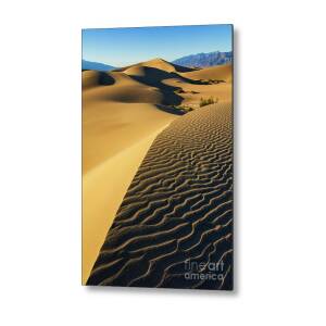 https://render.fineartamerica.com/images/rendered/square-product/small/images/rendered/default/metal-print/6.5/10/break/images/artworkimages/medium/3/mesquite-flats-sand-dunes-stovepipe-wells-death-valley-national-park-california-usa-neale-and-judith-clark.jpg