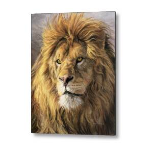 Portrait Of A Lion Metal Print by Lucie Bilodeau Portrait Of A Lion Metal Print by Lucie Bilodeau