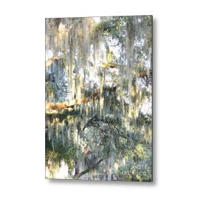 Sunny Southern Day - Black and White Metal Print by Carol Groenen