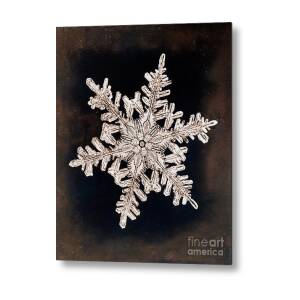 Snowflake Sequins Metal Print by Gustoimages/science Photo Library