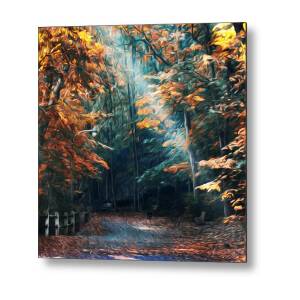 Sun And Water Metal Print by Bill Cannon